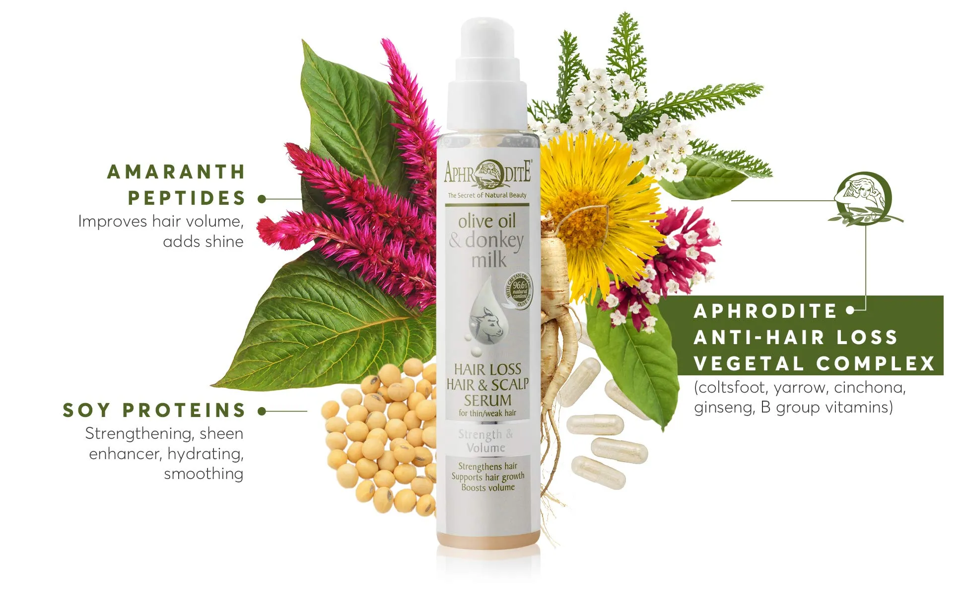 Aphrodite Hair Loss Hair & Scalp Serum - Strengthening & Volumizing Serum with Donkey Milk for Natural Hair Loss Prevention (100 ml / 3.38 oz) Donkey Milk & Olive Oil
