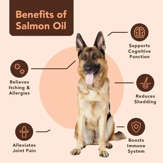 NATURAL DOG COMPANY - Wild Alaskan Salmon Oil
