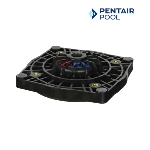 Pentair Black Seal Plate Replacement for Sta-Rite Supermax | 355612