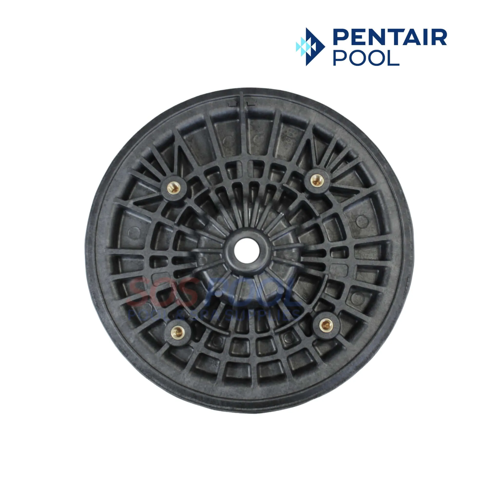 Pentair Seal Plate For Challenger and Waterfall Pumps | 355004