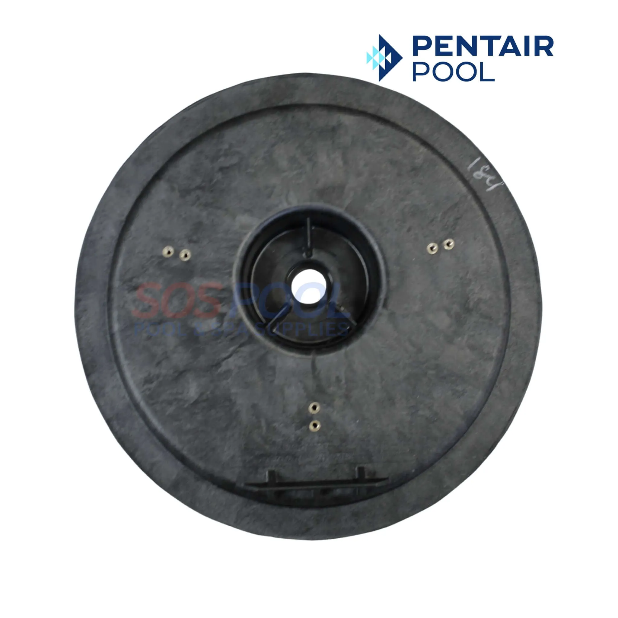 Pentair Seal Plate For Challenger and Waterfall Pumps | 355004