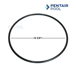 Pentair Seal Plate O-Ring for WhisperfloXF and intellifloXF Pumps | 351446
