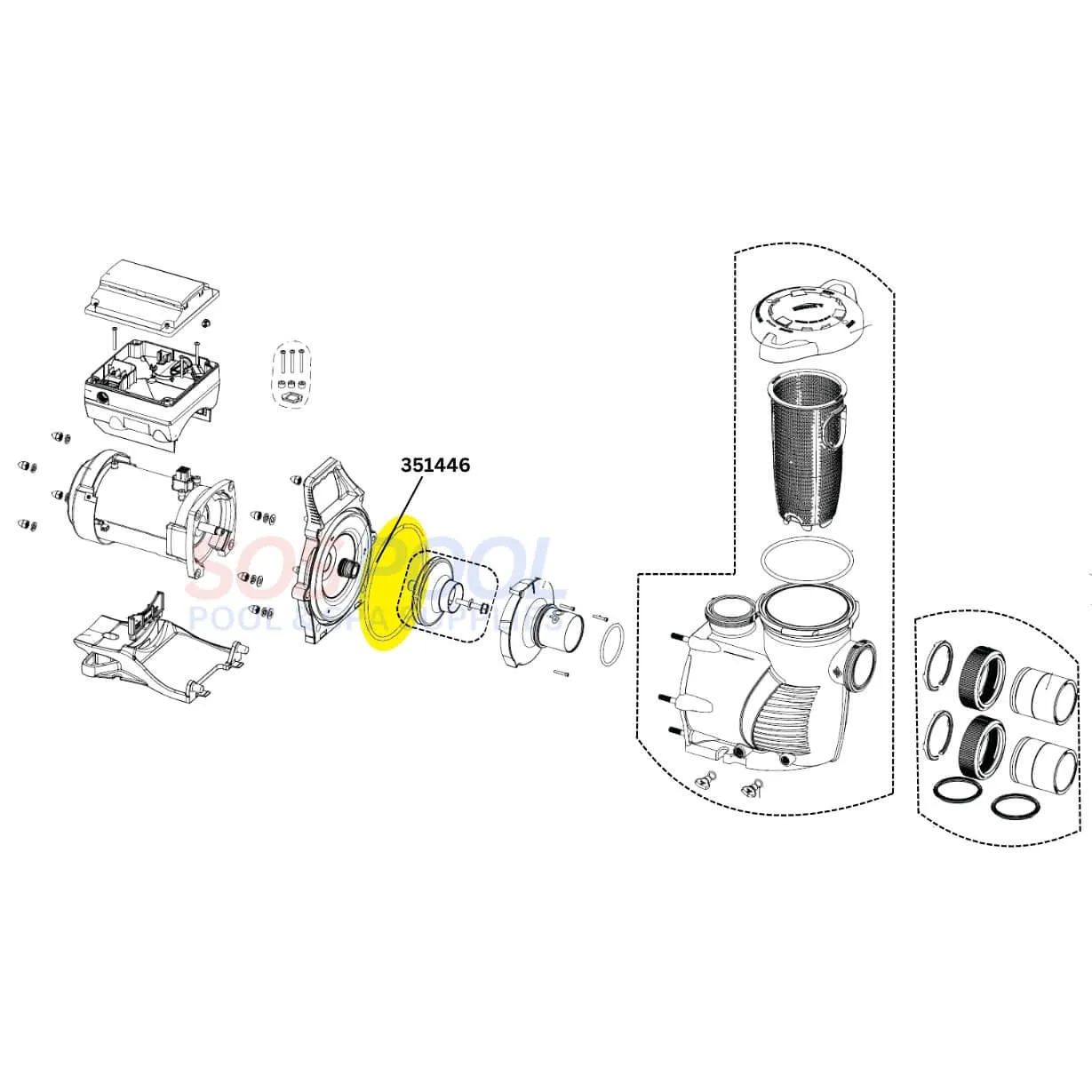 Pentair Seal Plate O-Ring for WhisperfloXF and intellifloXF Pumps | 351446