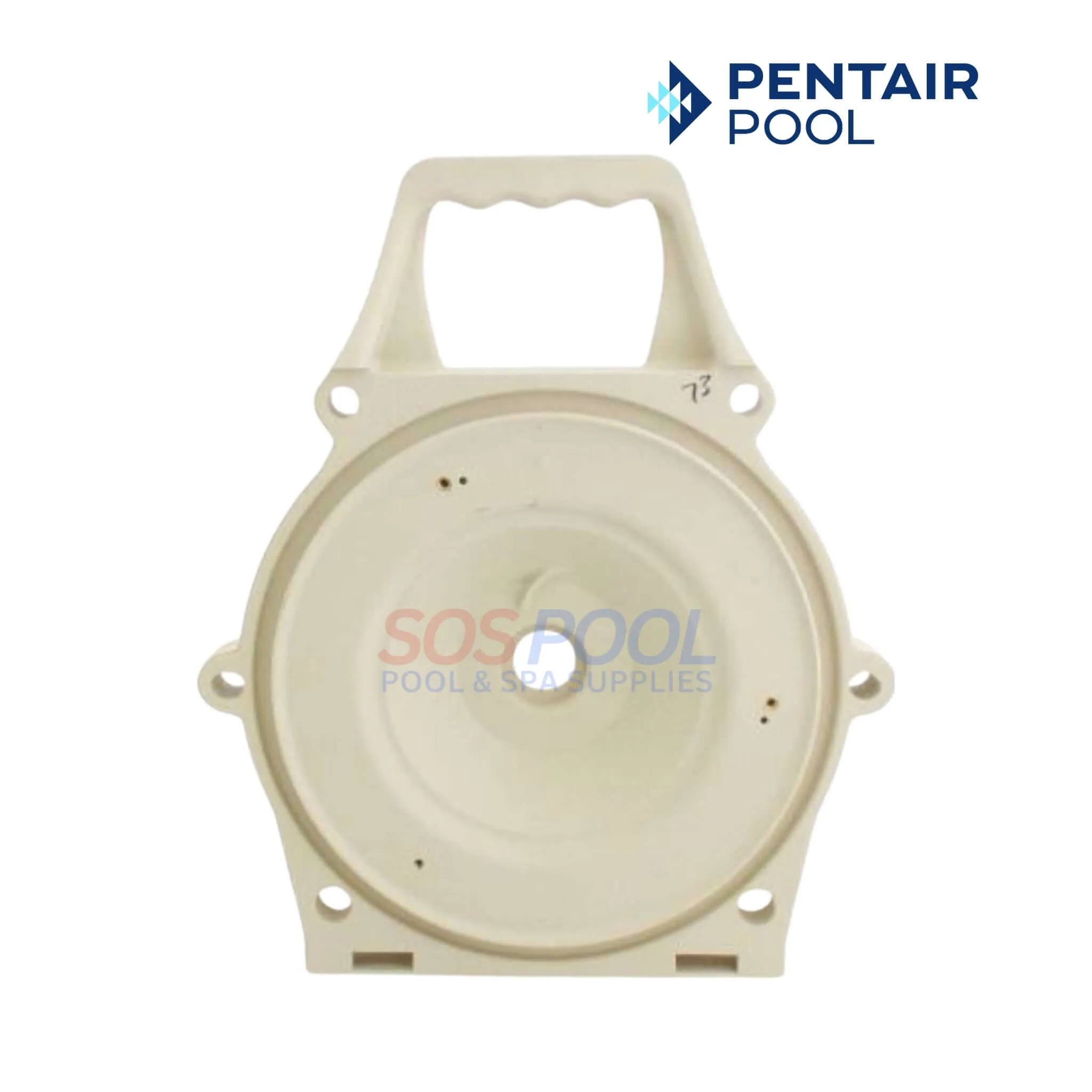 Pentair Seal Plate With Mechanical Seal and O-Ring For WhisperFloXF And IntelliFloXF Pumps | 400031Z