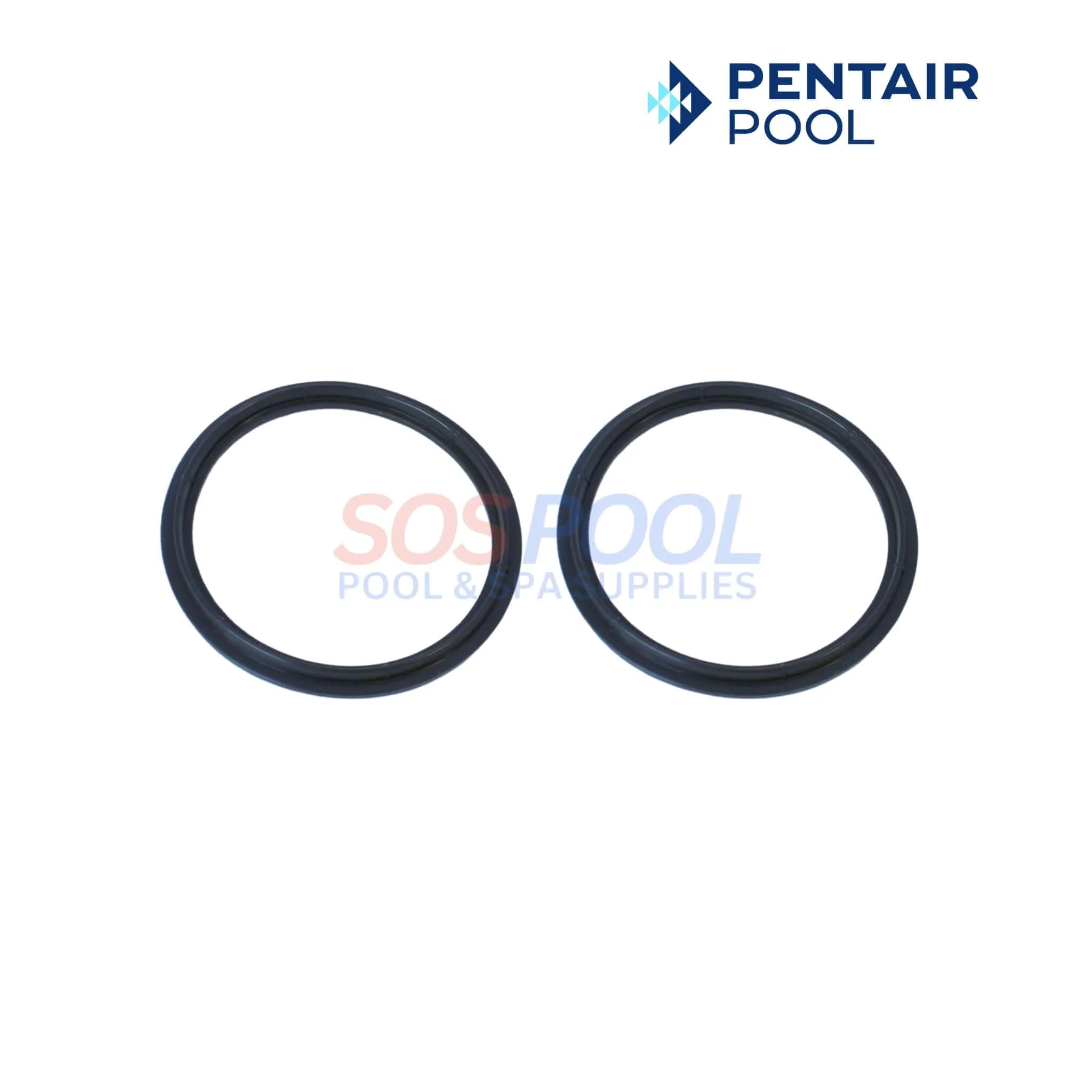 Pentair Union Kit For WhisperfloXF and IntelliFloXF Pumps | 410020