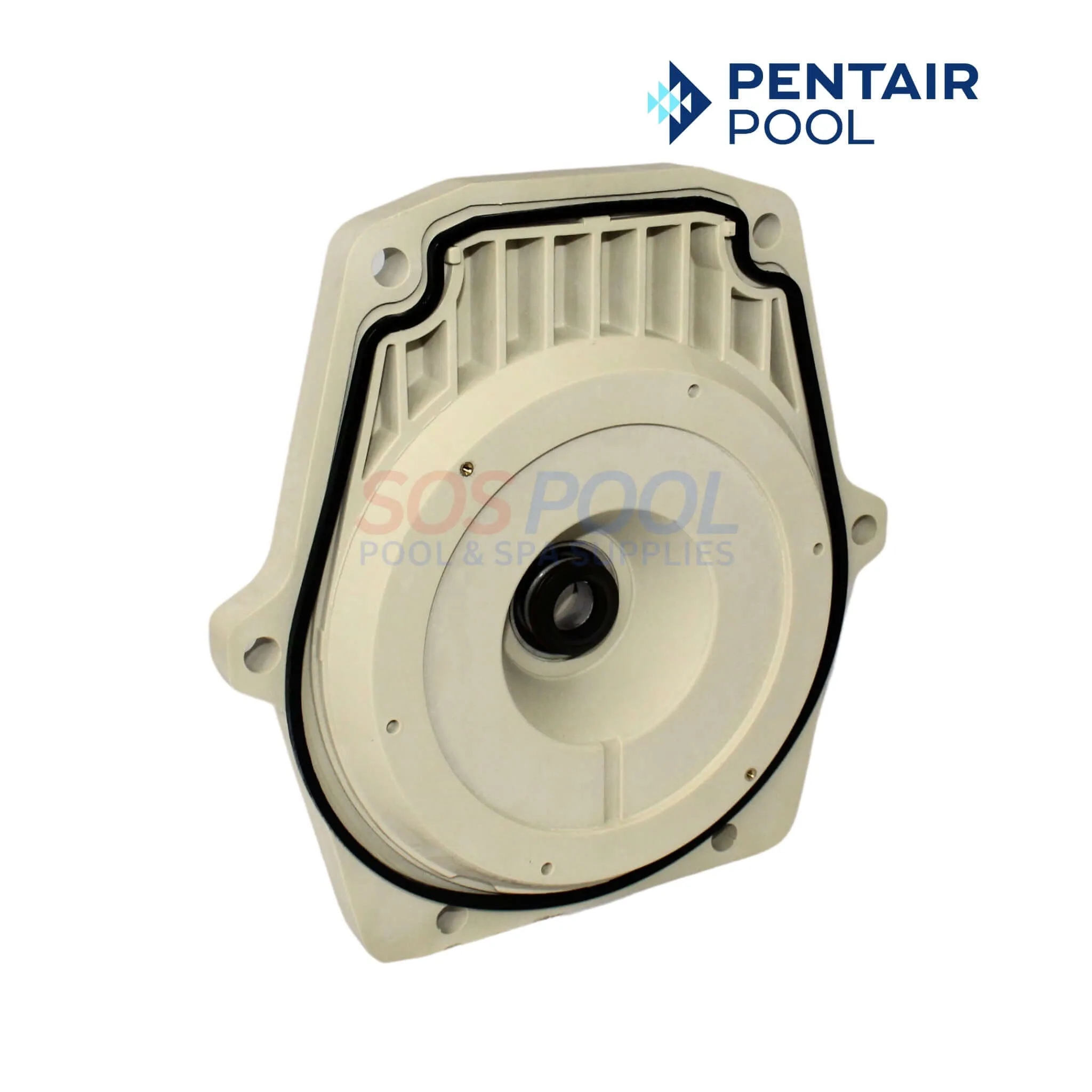 Pentair Volute Pot and Seal Plate Kit For Whisperflo And Intelliflo Pump | 357149