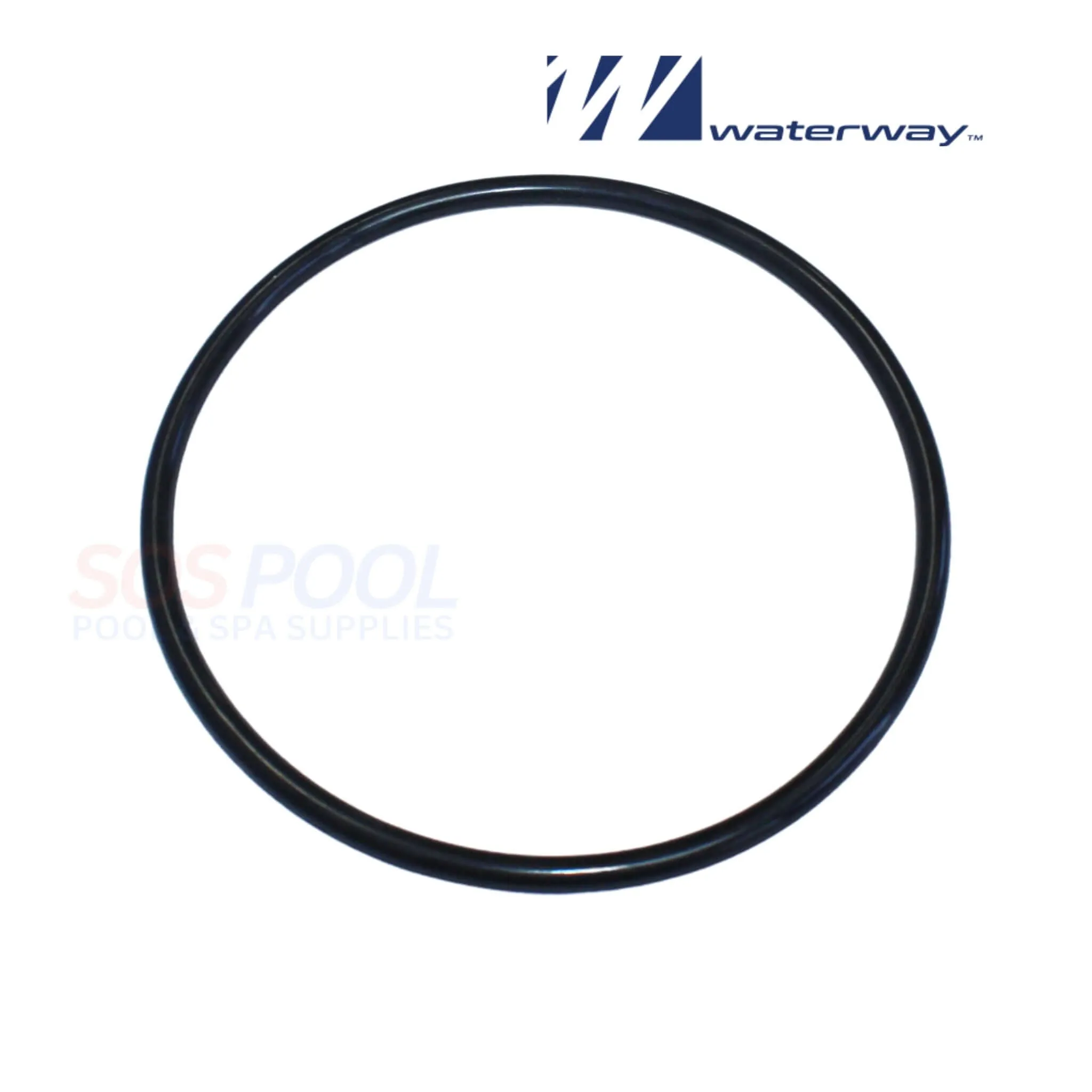 Waterway Trap Lid For Pumps | 319-4100